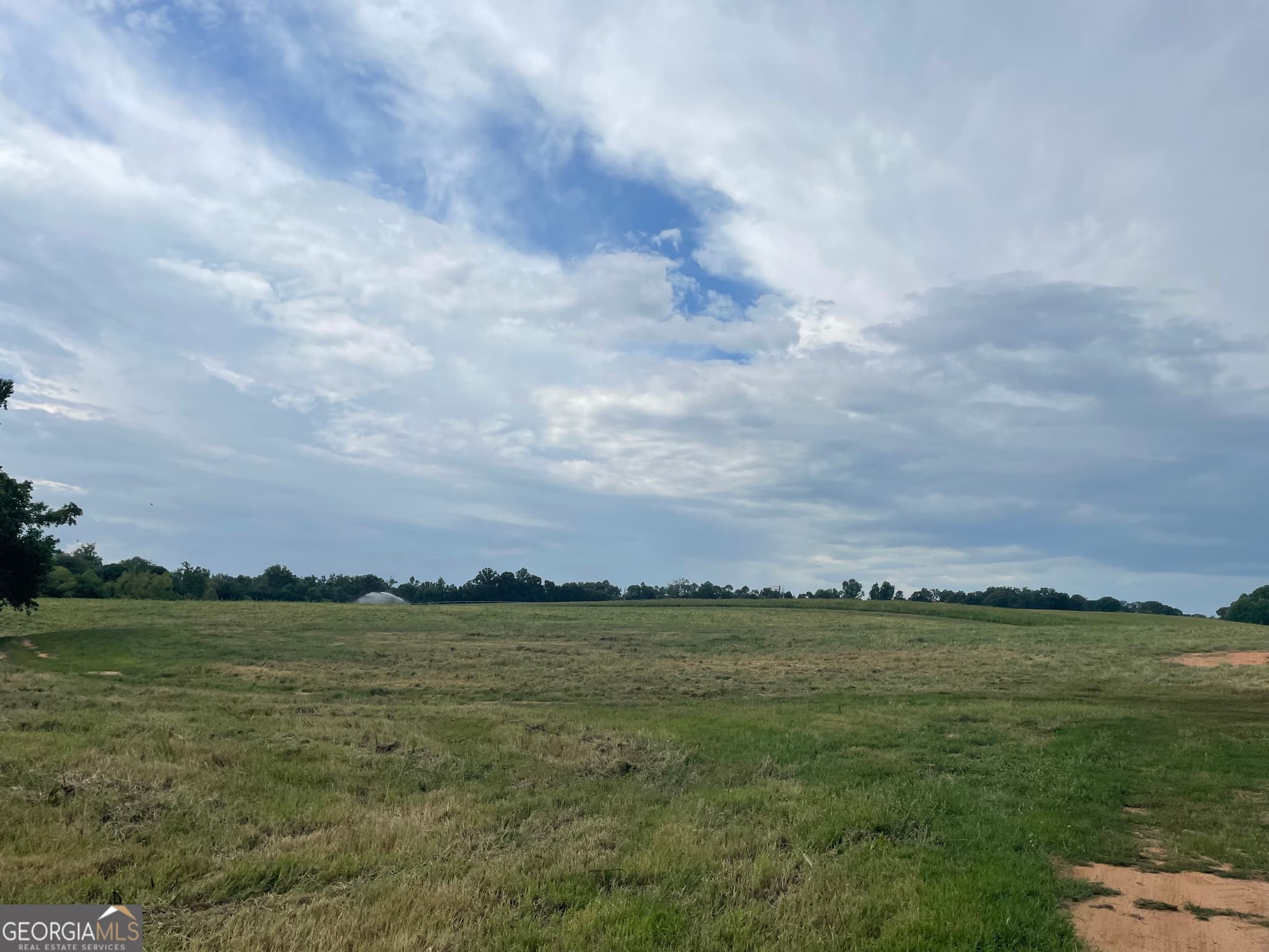 agriculture for sale at 12684 Highway 59, Carnesville, GA 30521 — photo 9