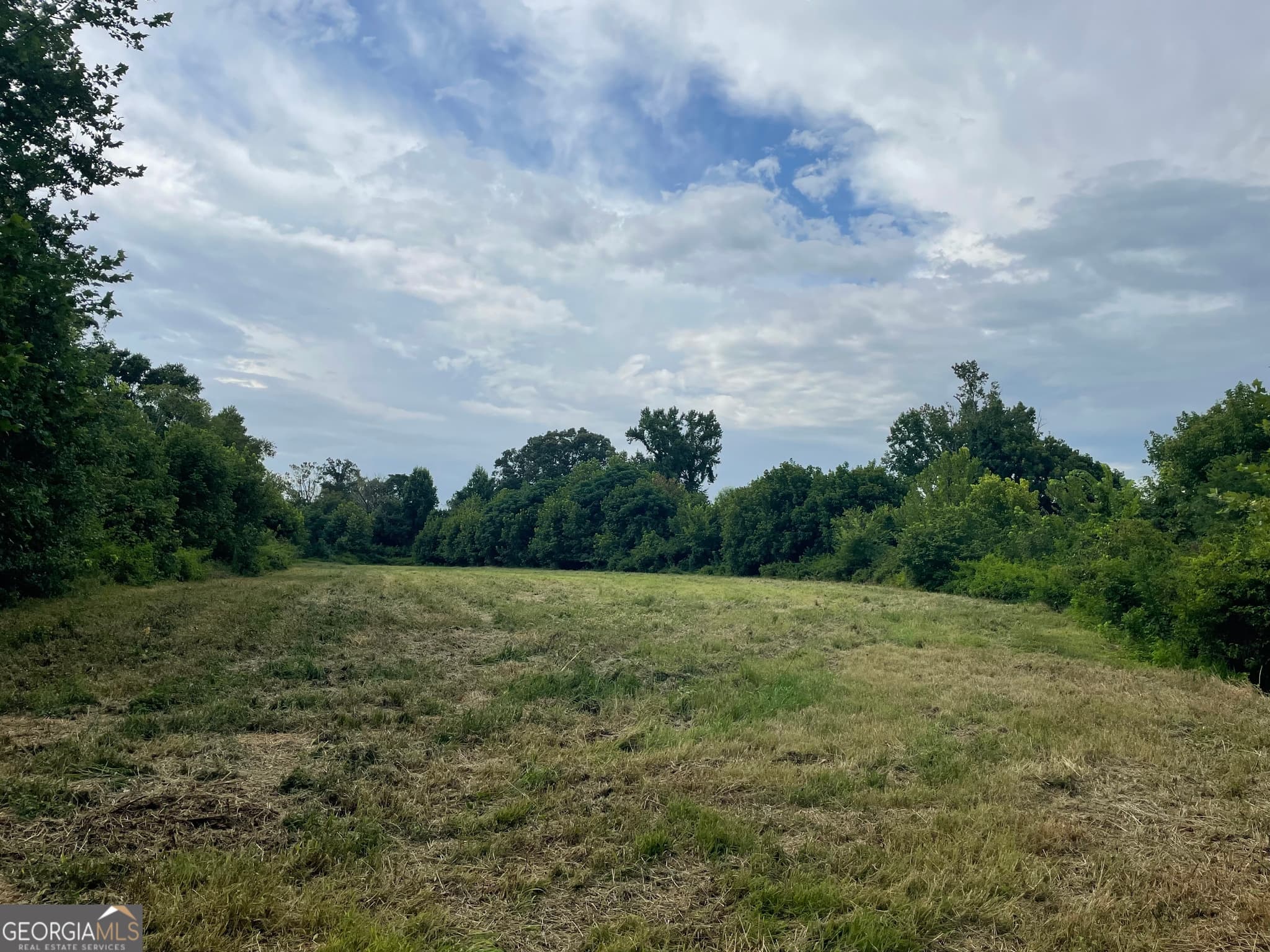 agriculture for sale at 12684 Highway 59, Carnesville, GA 30521 — photo 10
