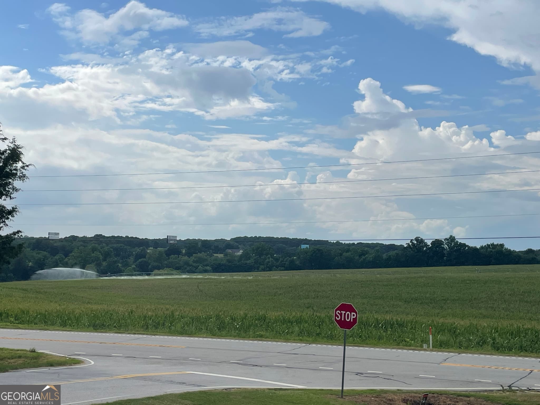 agriculture for sale at 12684 Highway 59, Carnesville, GA 30521 — photo 4