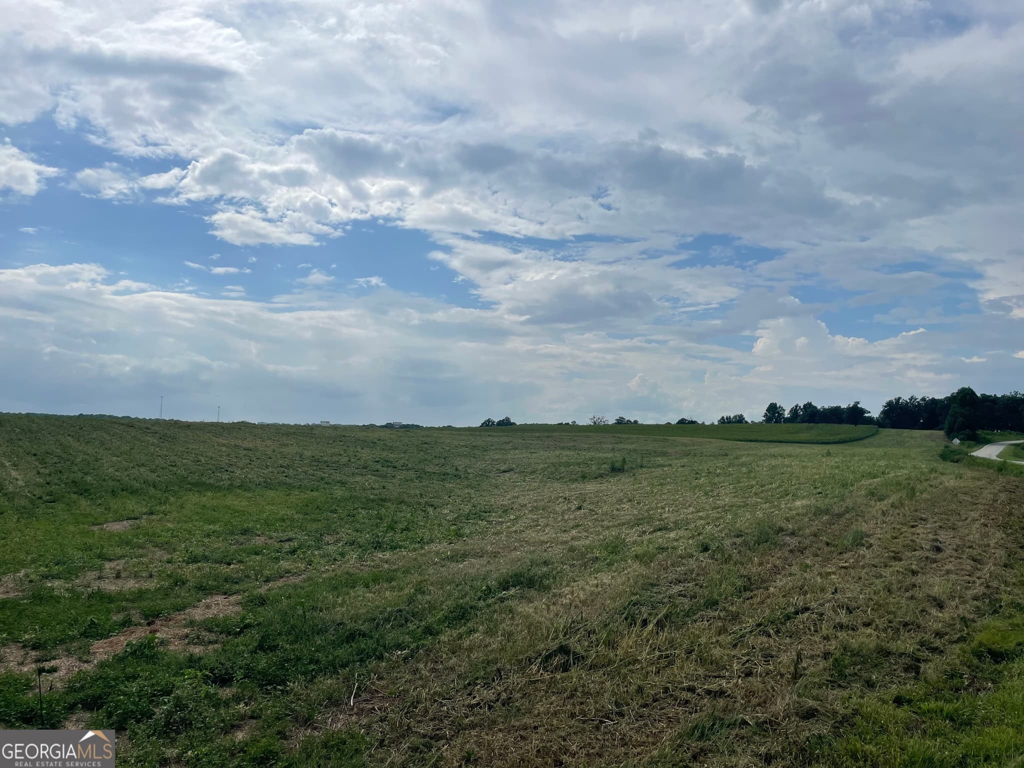 agriculture for sale at 12684 Highway 59, Carnesville, GA 30521 — photo 8