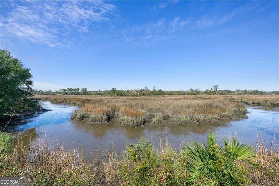 7 bedroom, 3.5 bathroom, 4,469 sq ft single family residence for sale at 60 Laurel Grove Road, Brunswick, GA 31523 — photo 5