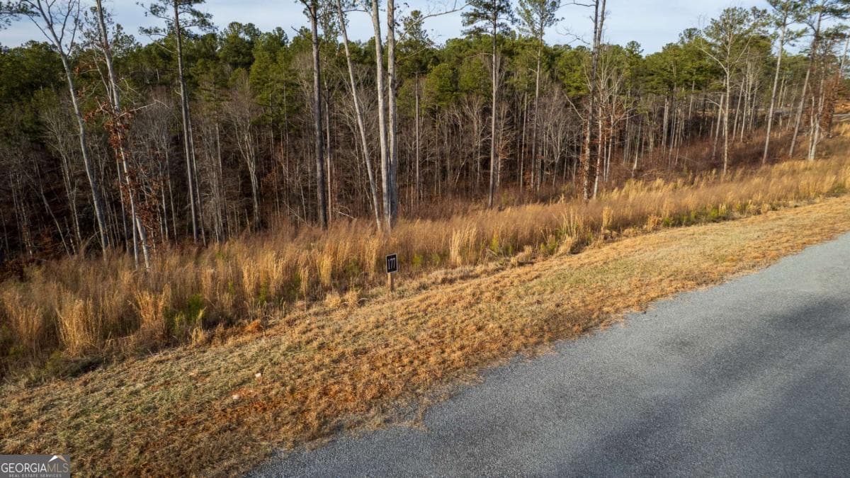 residential lot for sale at LOT 177 Shallow Water Way, Talking Rock, GA 30175 — photo 6