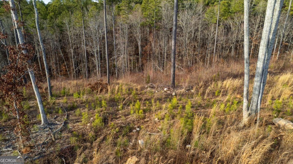 residential lot for sale at LOT 177 Shallow Water Way, Talking Rock, GA 30175 — photo 7