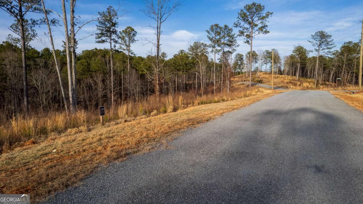 residential lot for sale at LOT 177 Shallow Water Way, Talking Rock, GA 30175 — photo 3