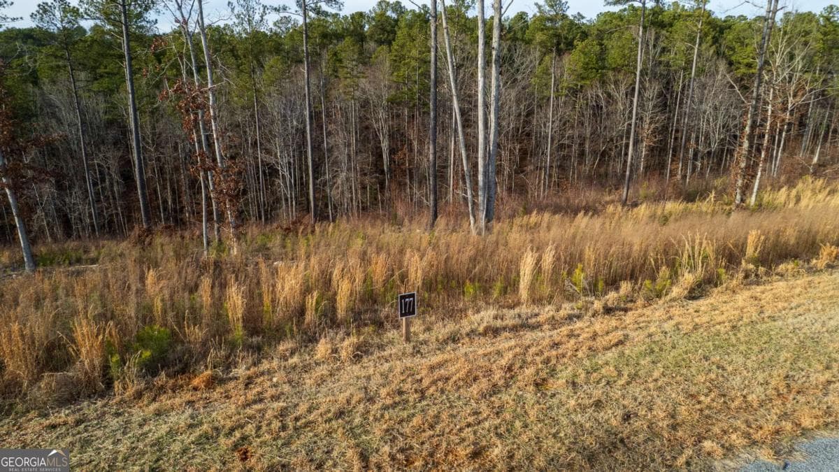 residential lot for sale at LOT 177 Shallow Water Way, Talking Rock, GA 30175 — photo 5