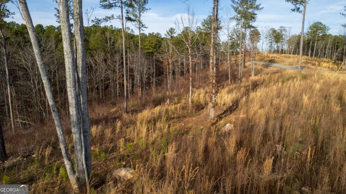 residential lot for sale at LOT 177 Shallow Water Way, Talking Rock, GA 30175 — photo 9