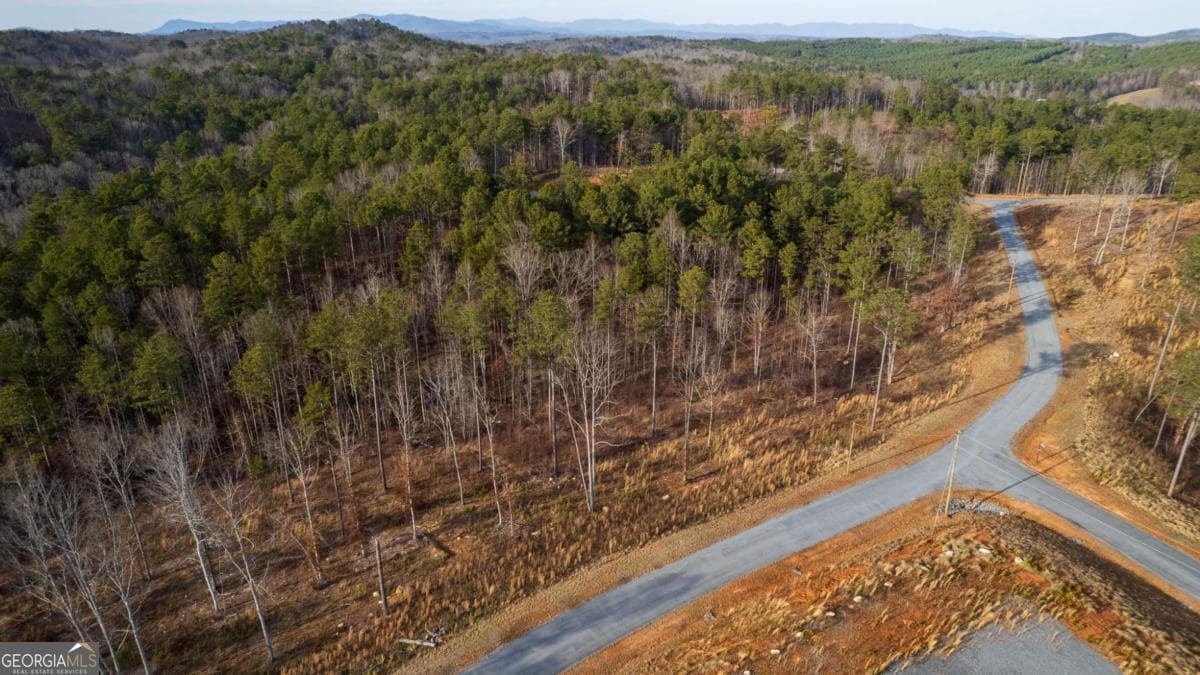 residential lot for sale at LOT 177 Shallow Water Way, Talking Rock, GA 30175 — photo 10