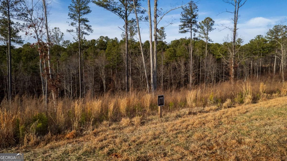 residential lot for sale at LOT 177 Shallow Water Way, Talking Rock, GA 30175 — photo 4