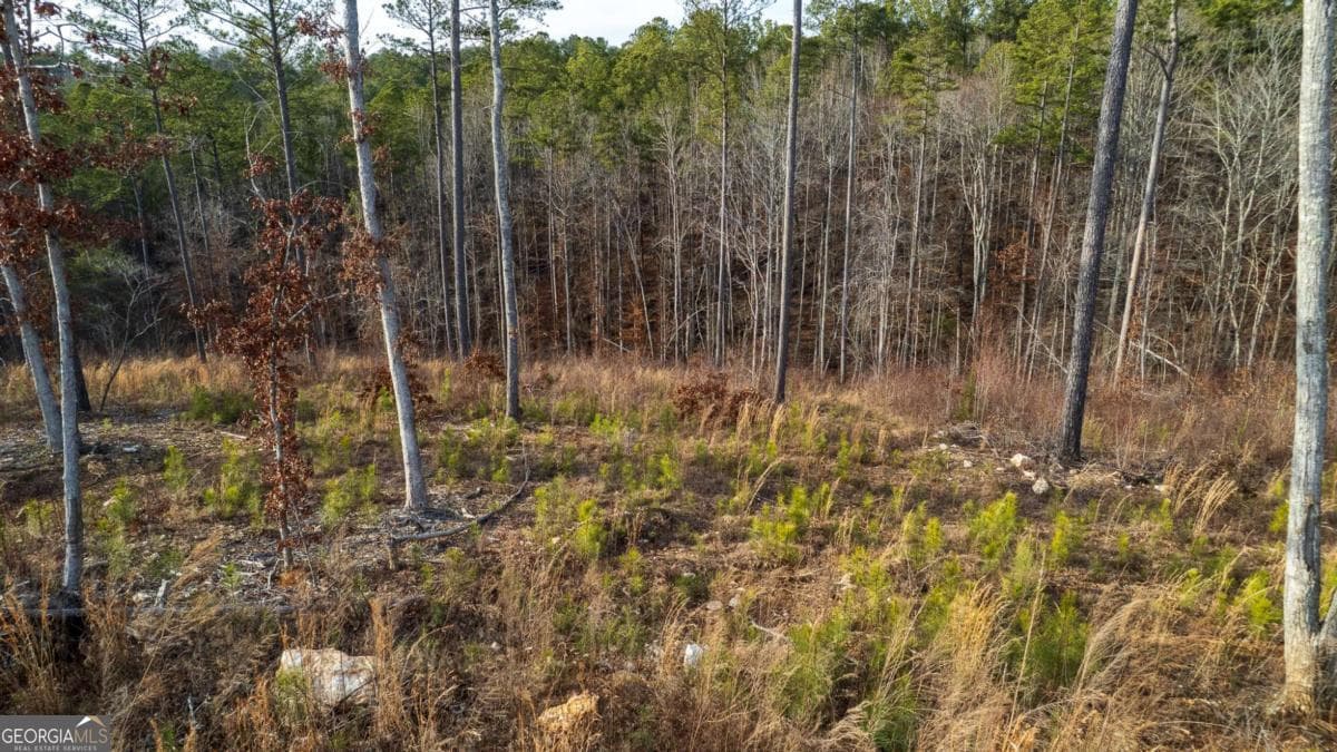 residential lot for sale at LOT 177 Shallow Water Way, Talking Rock, GA 30175 — photo 8