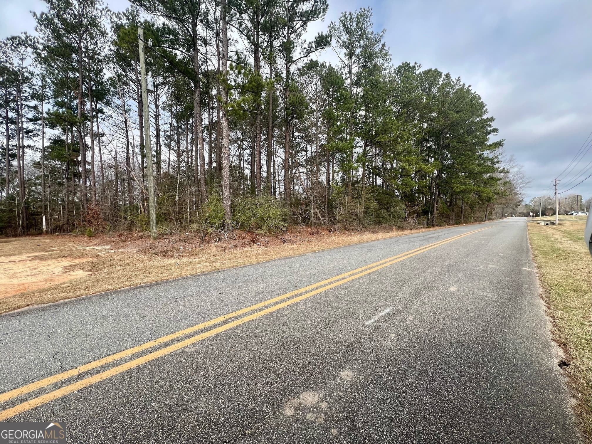 agriculture for sale at 723 Allisha Gray Lane, Sandersville, GA 31082 — photo 2