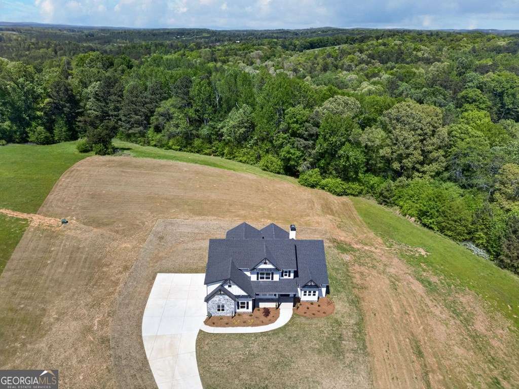 5 bedroom, 4 bathroom, 3,572 sq ft single family residence for sale at 14539 County Road 10, Ranburne, AL 36273 — photo 4