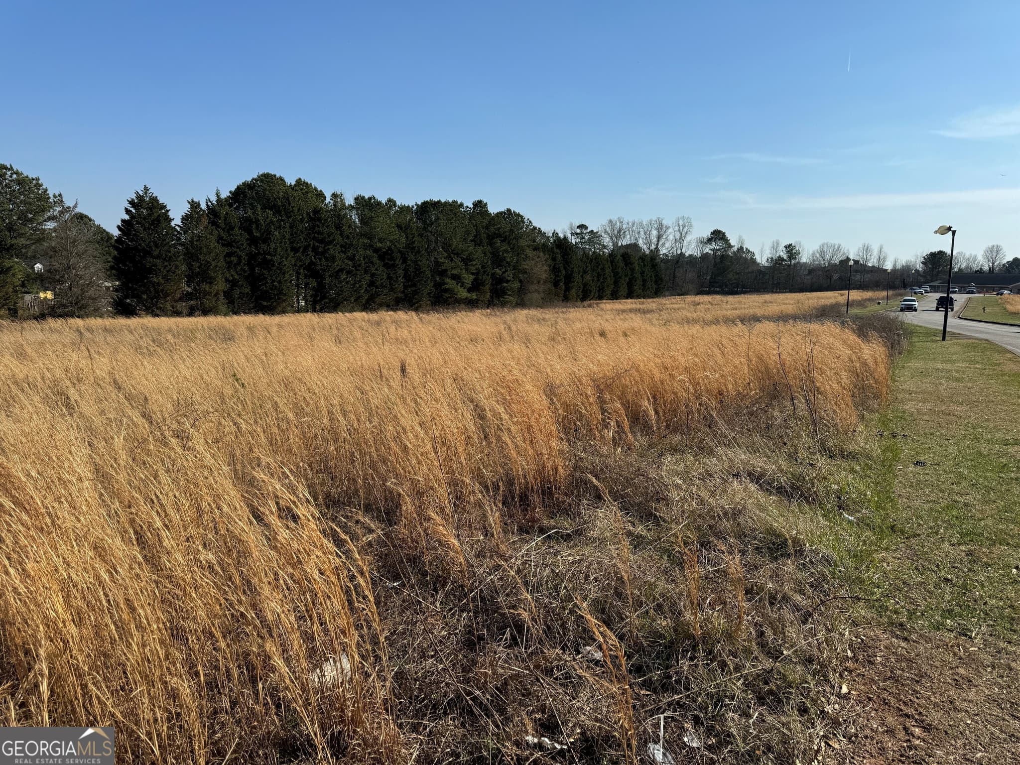 unimproved land for sale at 0 Bay View Drive, Villa Rica, GA 30180 — photo 3