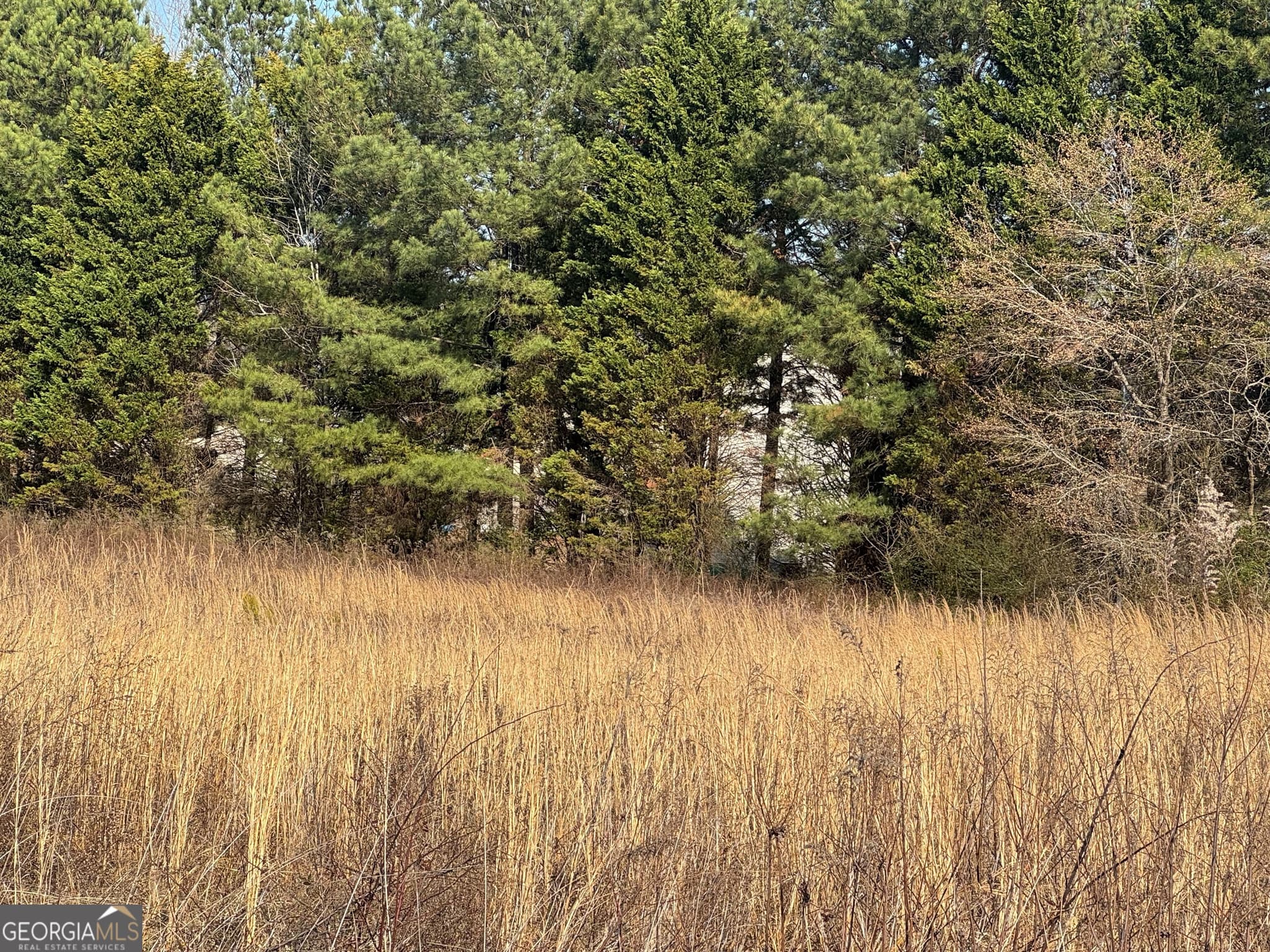 unimproved land for sale at 0 Bay View Drive, Villa Rica, GA 30180 — photo 5