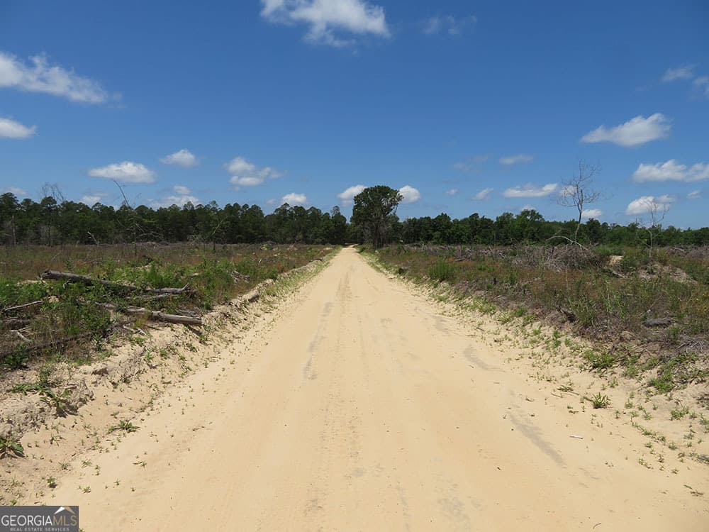 residential lot for sale at 1 C Pineville Road, Buena Vista, GA 31803 — photo 2