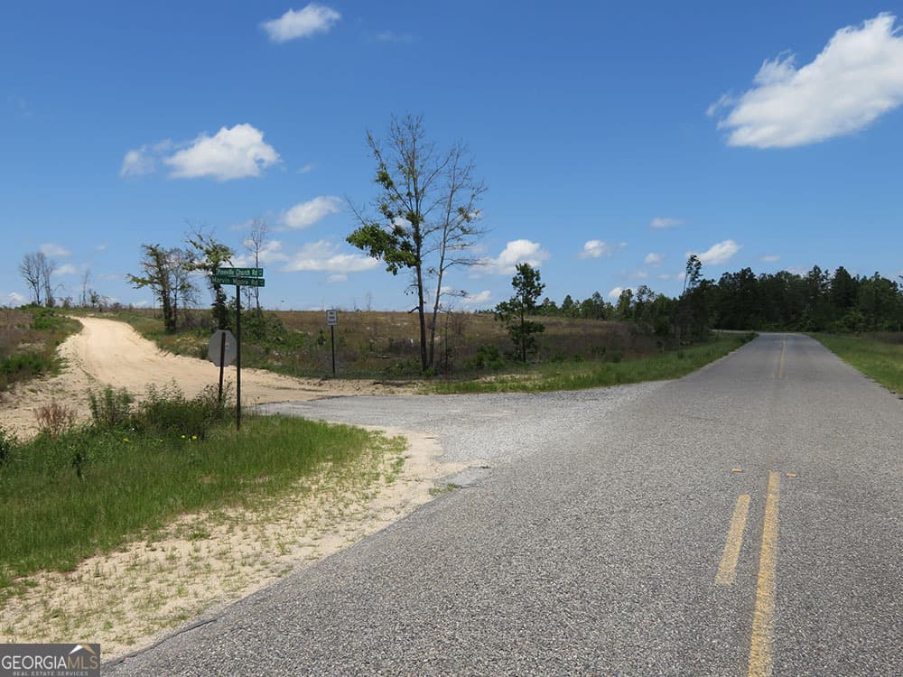 residential lot for sale at 1 C Pineville Road, Buena Vista, GA 31803 — photo 6
