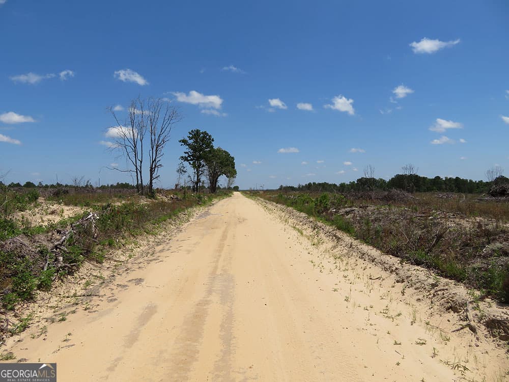 residential lot for sale at 1 C Pineville Road, Buena Vista, GA 31803 — photo 7