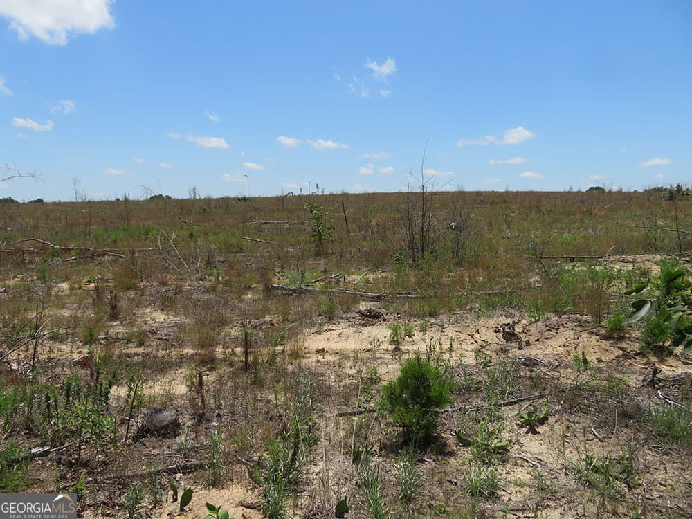 residential lot for sale at 1 C Pineville Road, Buena Vista, GA 31803 — photo 3