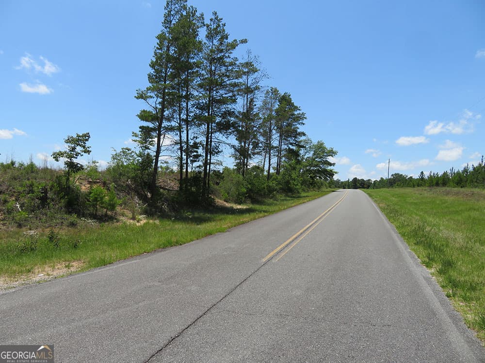 residential lot for sale at 1 C Pineville Road, Buena Vista, GA 31803 — photo 5