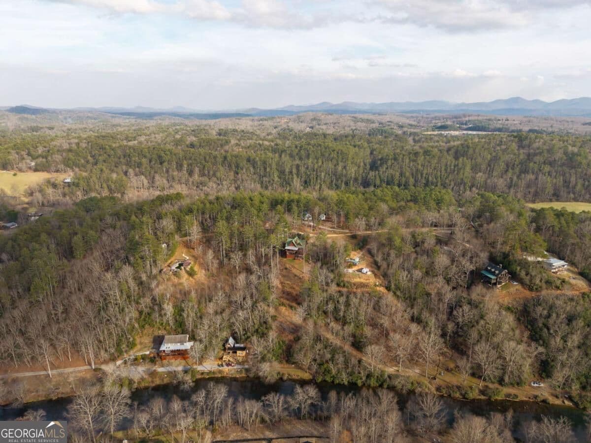 5 bedroom, 5 bathroom, 4,290 sq ft cabin,single family residence for sale at 153 Riverview Circle, Blue Ridge, GA 30513 — photo 10