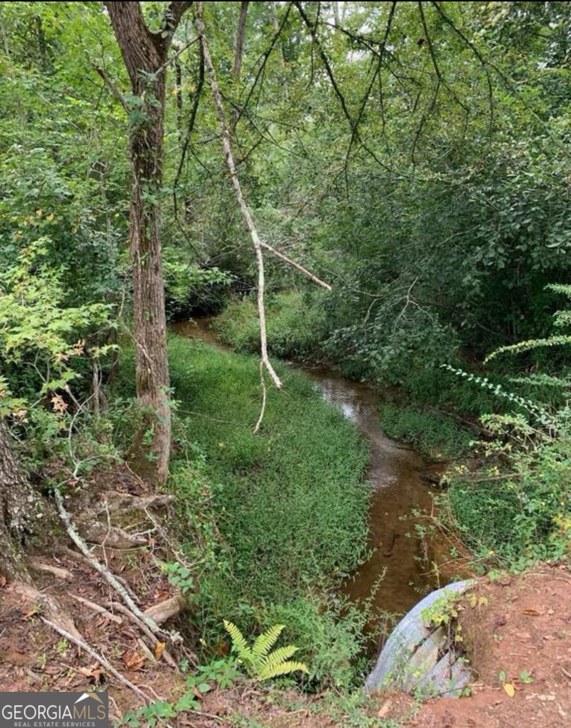 agriculture for sale at 600 Hillview Road TRACT 1, Hampton, GA 30228 — photo 3