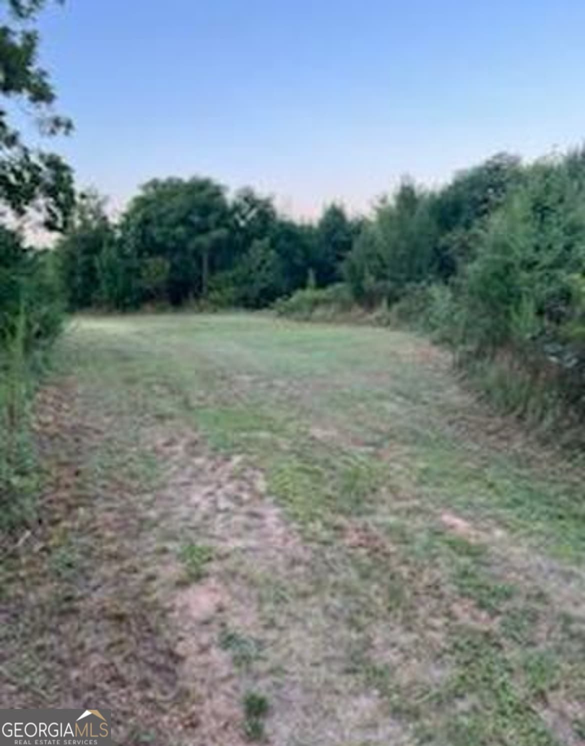 agriculture for sale at 600 Hillview Road TRACT 1, Hampton, GA 30228