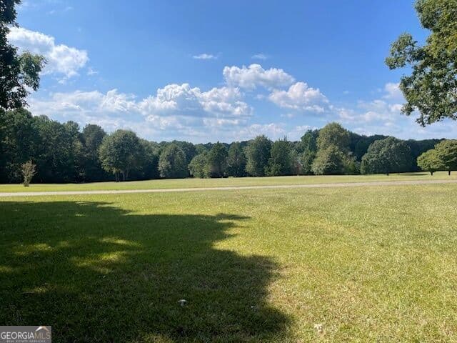 4 bedroom, 3.5 bathroom, 5,555 sq ft single family residence for sale at 1007 West Gordon Street, Thomaston, GA 30286 — photo 5