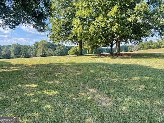 4 bedroom, 3.5 bathroom, 5,555 sq ft single family residence for sale at 1007 West Gordon Street, Thomaston, GA 30286 — photo 4