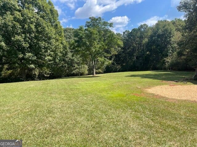 4 bedroom, 3.5 bathroom, 5,555 sq ft single family residence for sale at 1007 West Gordon Street, Thomaston, GA 30286 — photo 8