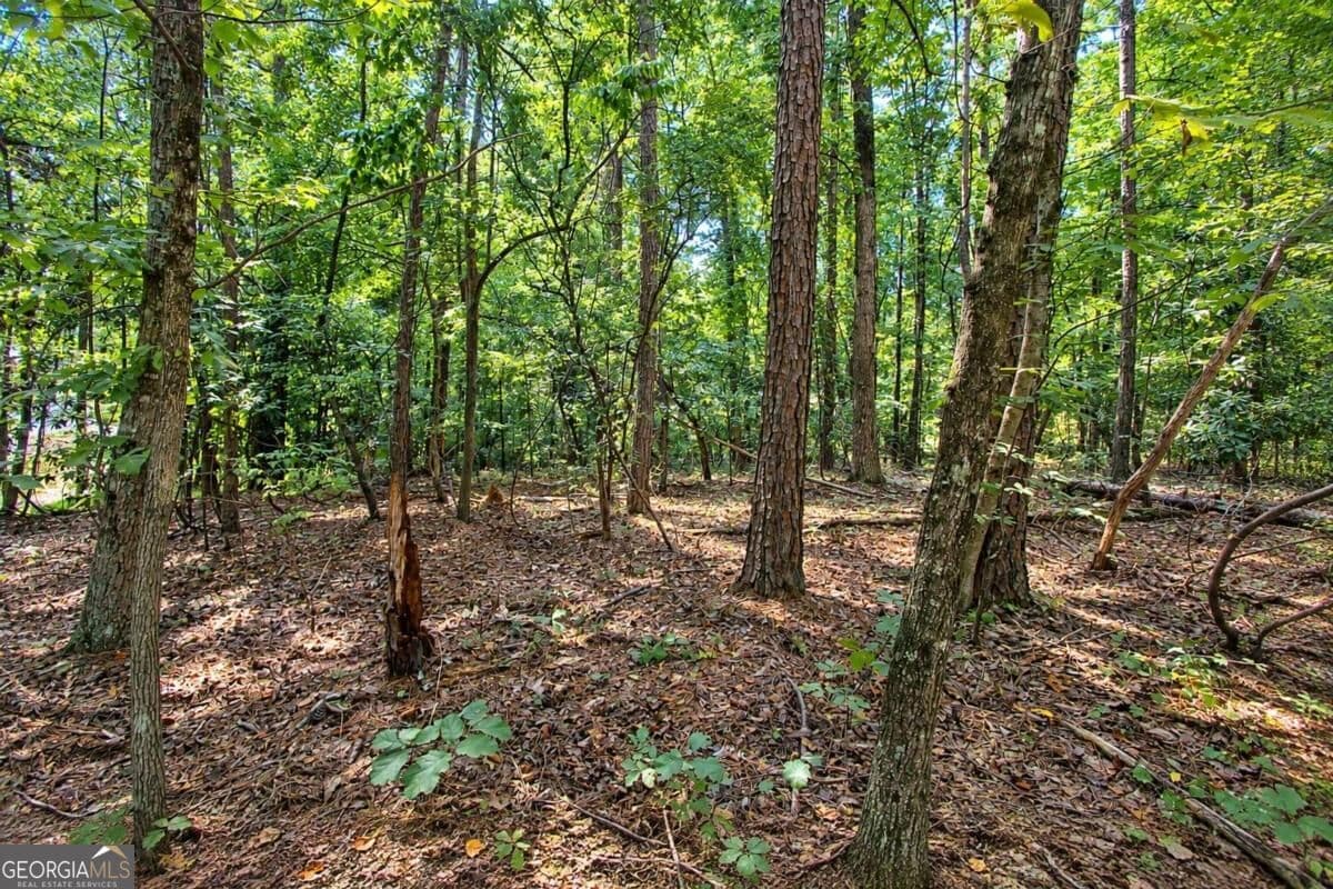 unimproved land for sale at 0 Buice Road, Johns Creek, GA 30022 — photo 2