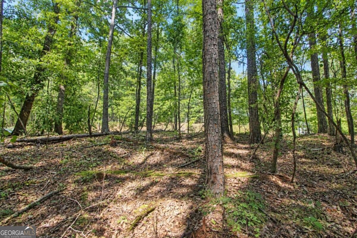 unimproved land for sale at 0 Buice Road, Johns Creek, GA 30022 — photo 6
