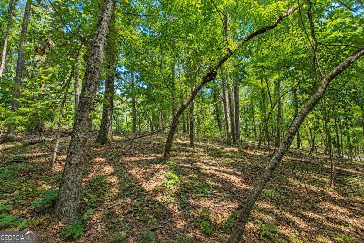 unimproved land for sale at 0 Buice Road, Johns Creek, GA 30022 — photo 7