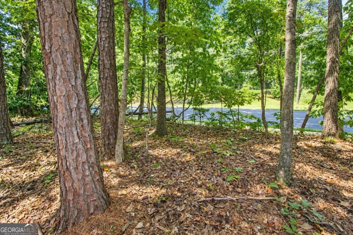 unimproved land for sale at 0 Buice Road, Johns Creek, GA 30022 — photo 3