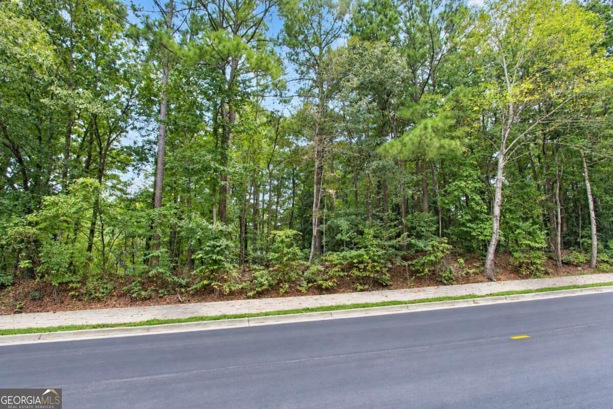 unimproved land for sale at 0 Buice Road, Johns Creek, GA 30022 — photo 1 of 10