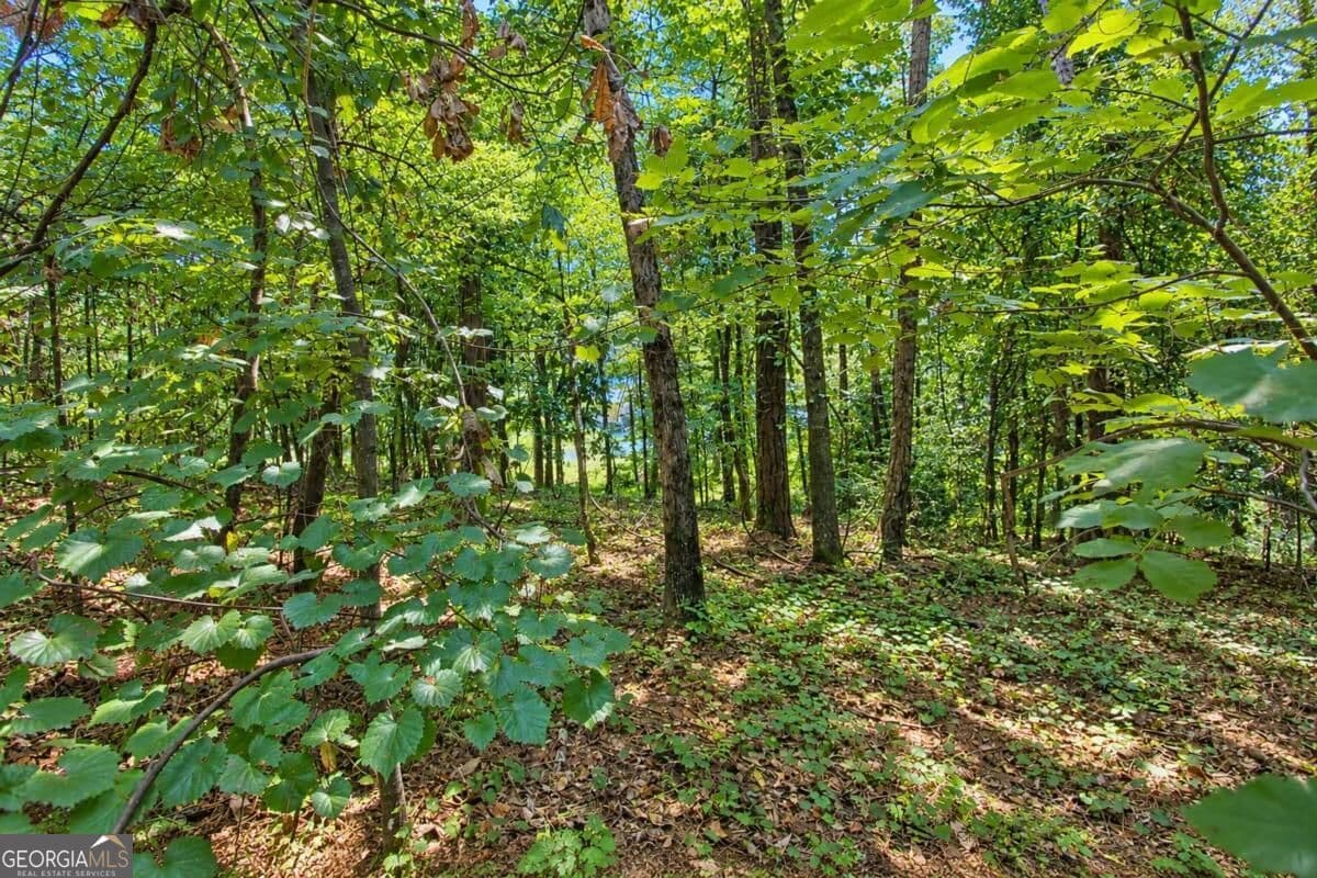unimproved land for sale at 0 Buice Road, Johns Creek, GA 30022 — photo 5