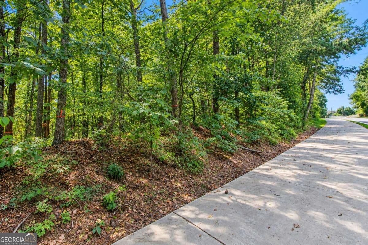 unimproved land for sale at 0 Buice Road, Johns Creek, GA 30022 — photo 4