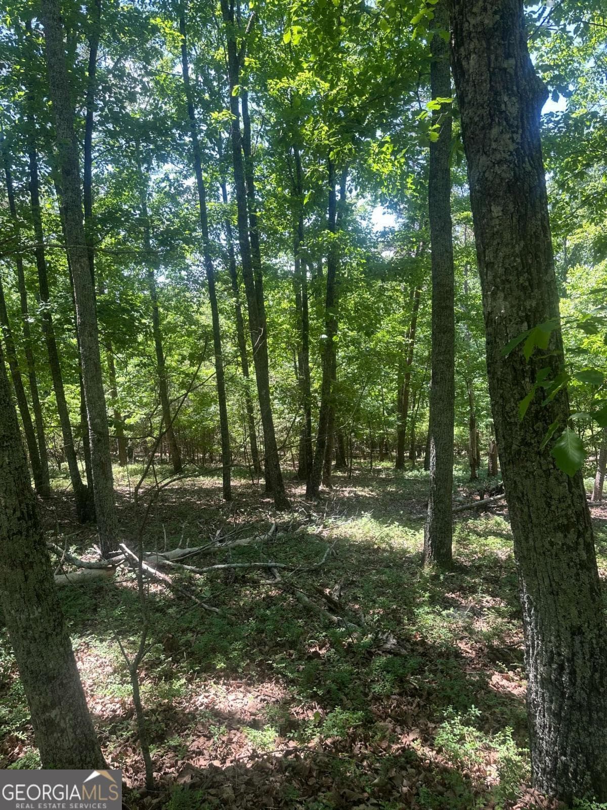 residential lot for sale at 0 Owl Ridge Way, Jasper, GA 30143 — photo 2