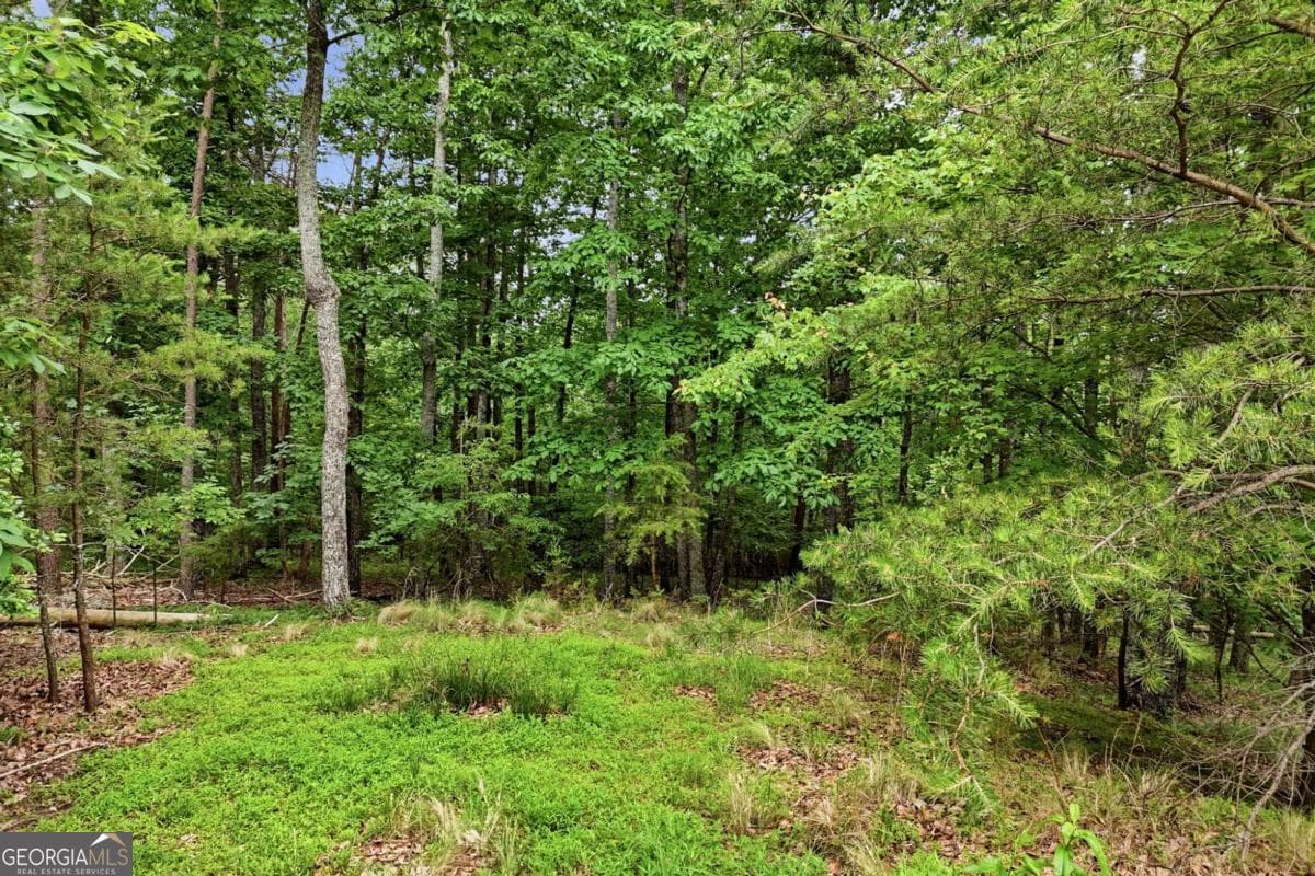 residential lot for sale at 0 Owl Ridge Way, Jasper, GA 30143 — photo 7