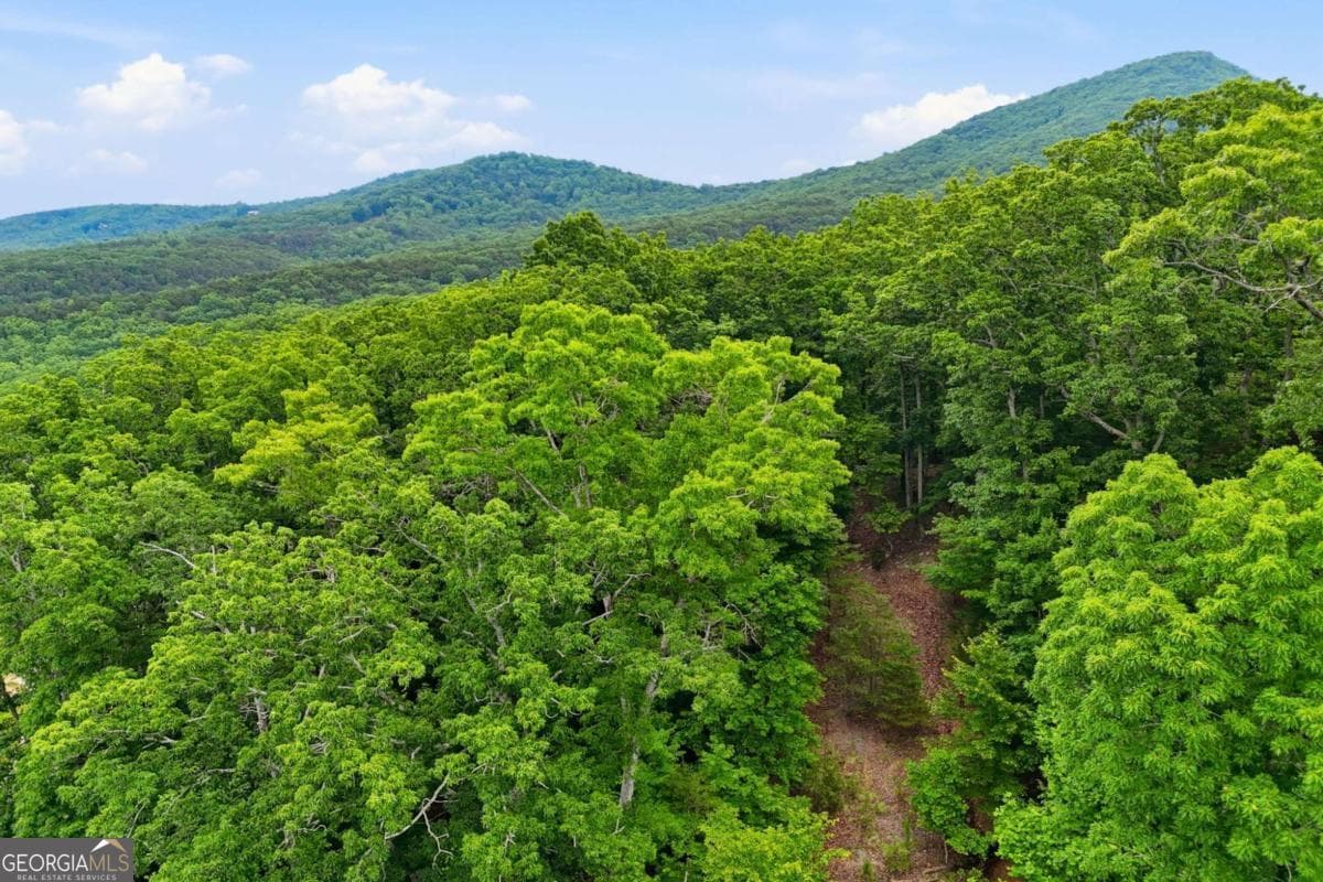 residential lot for sale at 0 Owl Ridge Way, Jasper, GA 30143 — photo 1 of 22