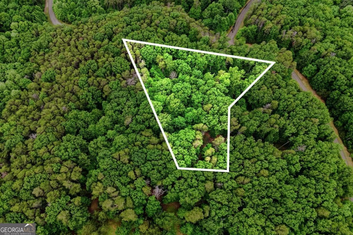 residential lot for sale at 0 Owl Ridge Way, Jasper, GA 30143 — photo 5