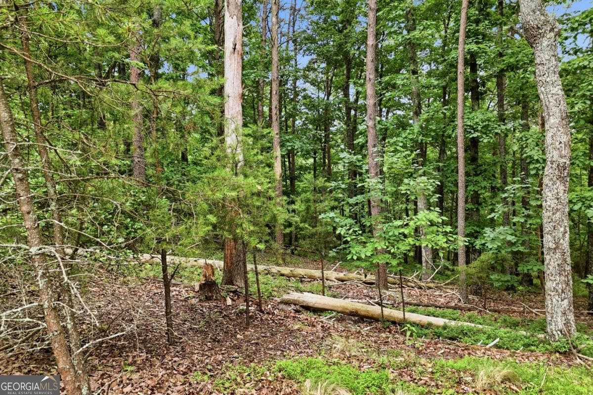 residential lot for sale at 0 Owl Ridge Way, Jasper, GA 30143 — photo 9