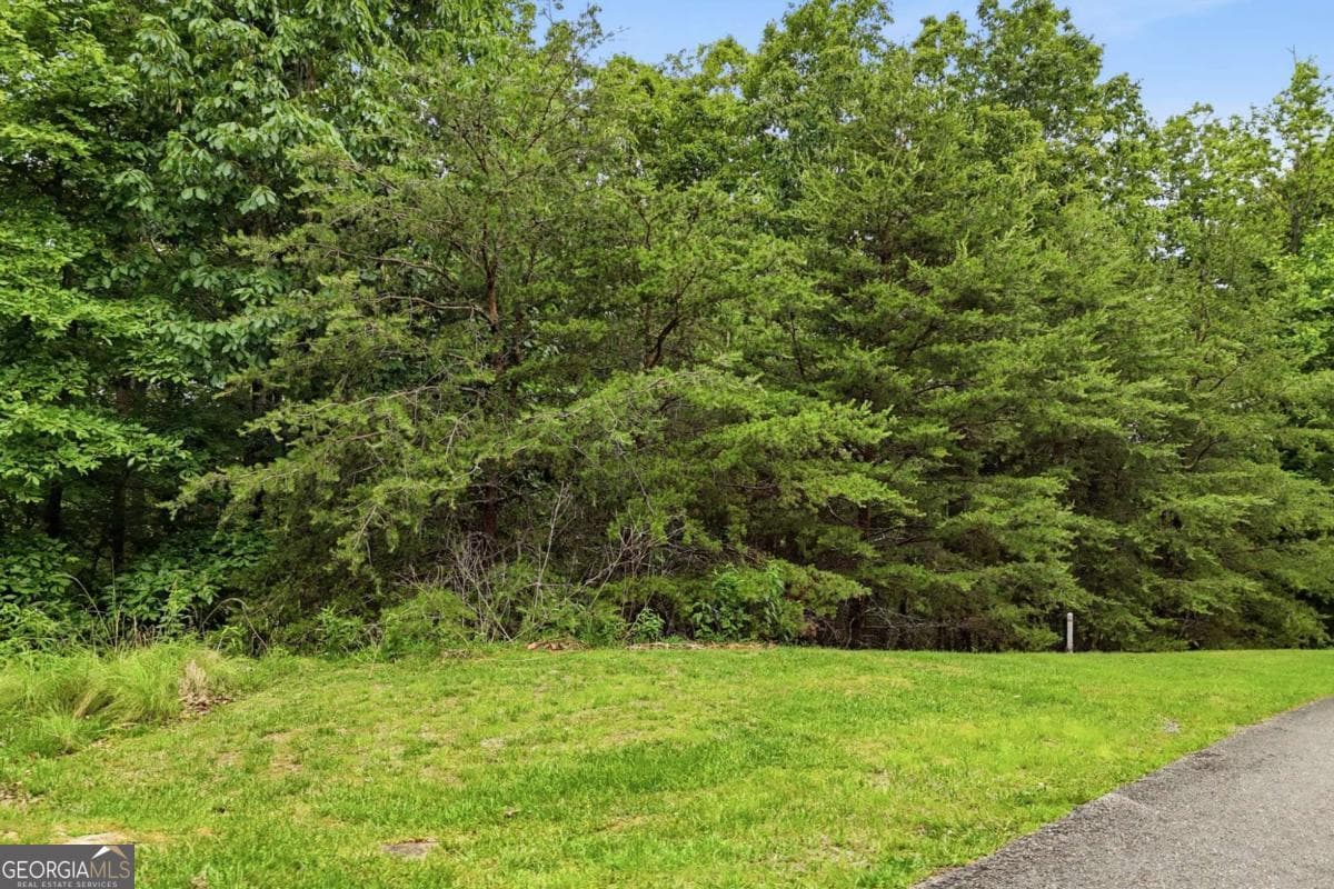 residential lot for sale at 0 Owl Ridge Way, Jasper, GA 30143 — photo 10