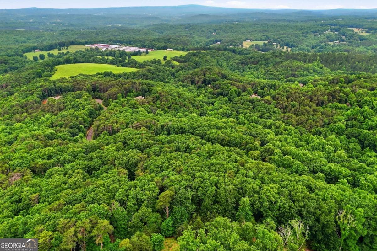 residential lot for sale at 0 Owl Ridge Way, Jasper, GA 30143 — photo 4