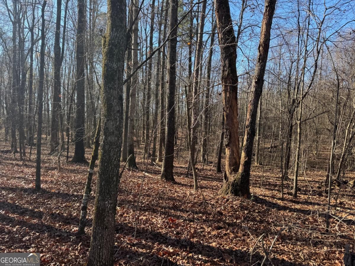 agriculture for sale at 6601 Hog Mountain Hwy - Hwy 53 PARCEL B - 3 ACRES, Bogart, GA 30622 — photo 5