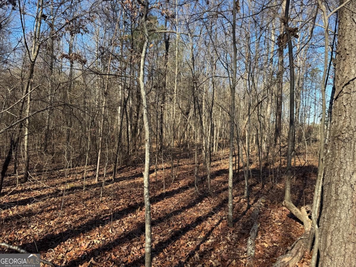 agriculture for sale at 6601 Hog Mountain Hwy - Hwy 53 PARCEL B - 3 ACRES, Bogart, GA 30622 — photo 4