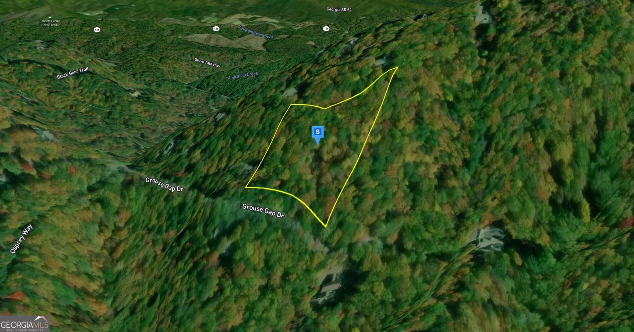 unimproved land for sale at 554 Grouse Gap Drive, Jasper, GA 30143 — photo 2