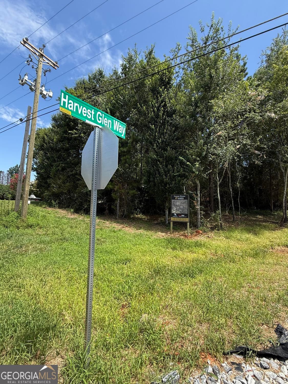 residential lot for sale at 0 Harvest Glen Way TRACT 4, Gainesville, GA 30506 — photo 3