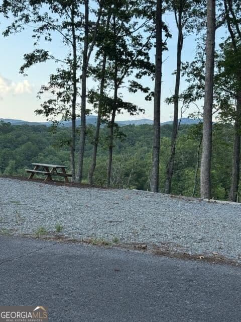 residential lot for sale at 290 Eagle View Drive LOT 20, Ellijay, GA 30540 — photo 6