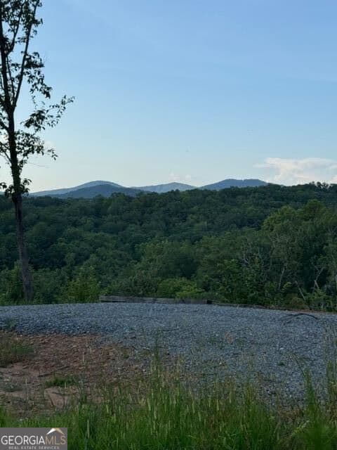 residential lot for sale at 290 Eagle View Drive LOT 20, Ellijay, GA 30540 — photo 7