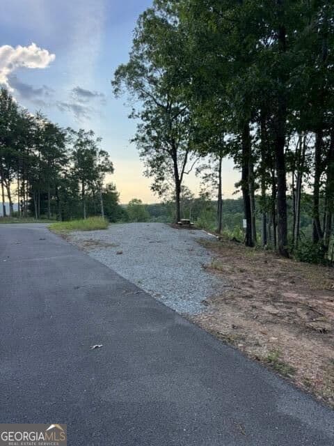 residential lot for sale at 290 Eagle View Drive LOT 20, Ellijay, GA 30540 — photo 3