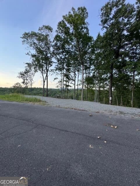 residential lot for sale at 290 Eagle View Drive LOT 20, Ellijay, GA 30540 — photo 5